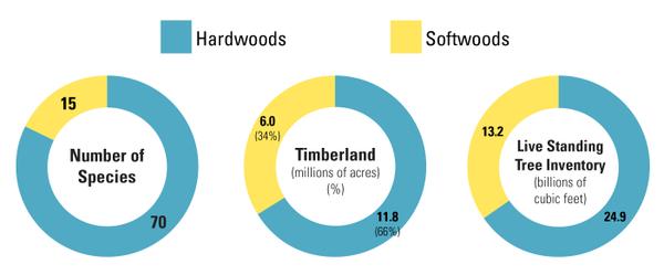 Thumbnail image for North Carolina's Forest and Forest Products Industry by the Numbers